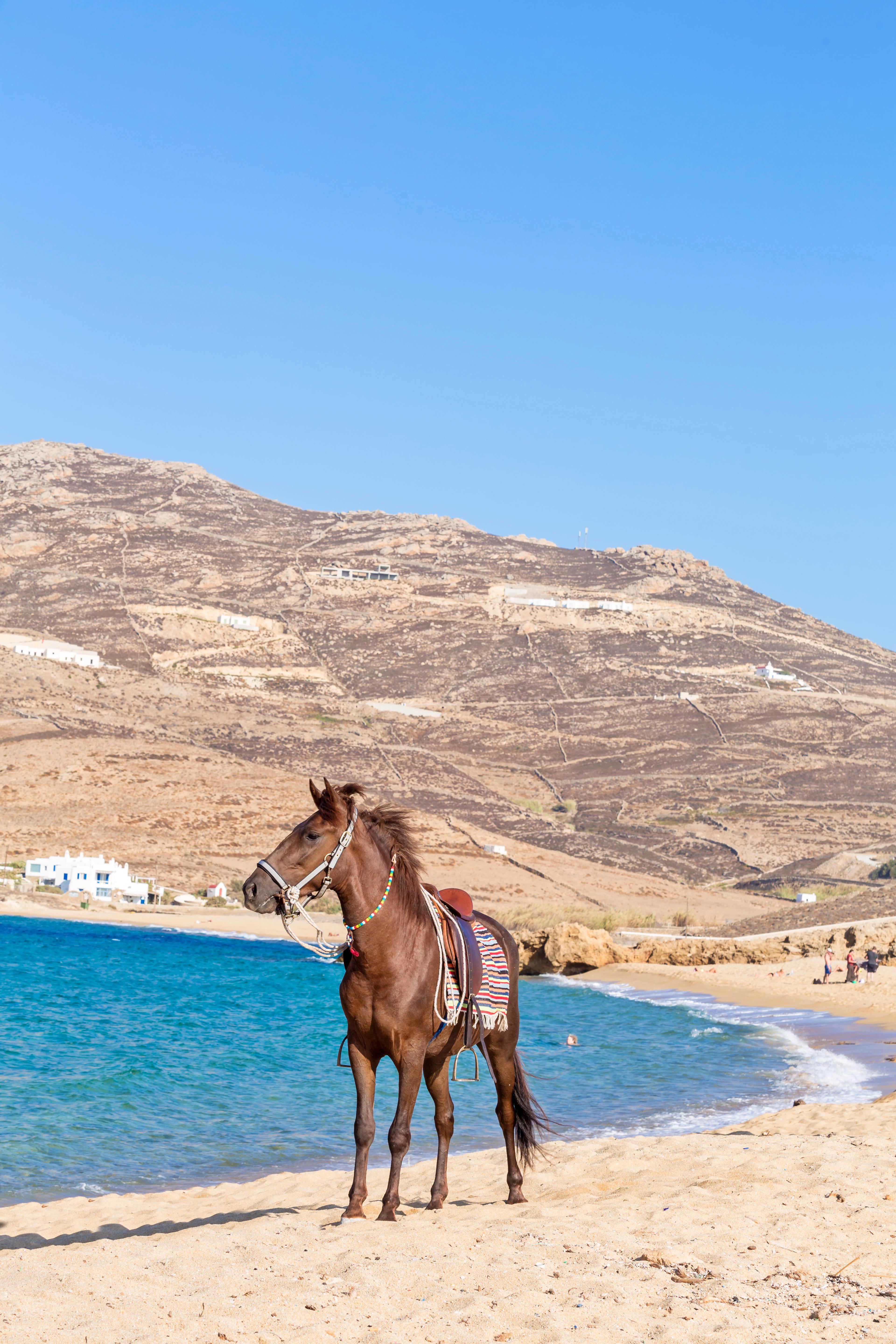 Anamar Mykonos Natural Retreat Mykonos Town Esterno foto